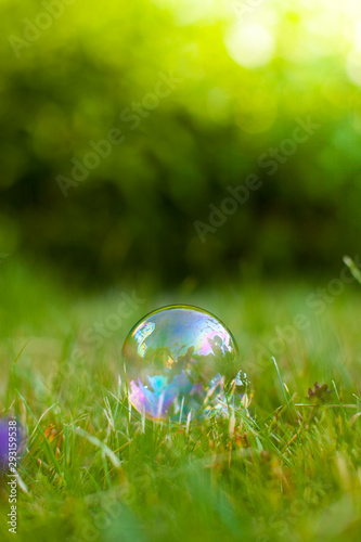 Seifenblase auf grünem Gras. Seifenblase vor grünem Hintergrund. Soap bubble on green nature grass background.