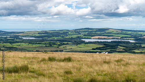 Vartry reservoir in a clody day, Wicklow way.