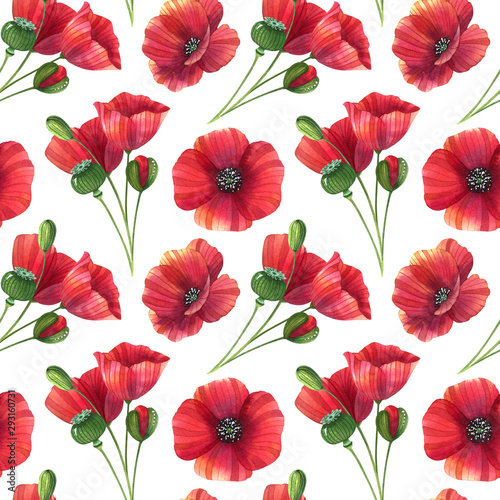 Watercolor seamless pattern with poppies and leaves. Bright floral background with flowers and buds.