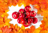 Yellow maple leaves and red juicy apples lie on a white wood background