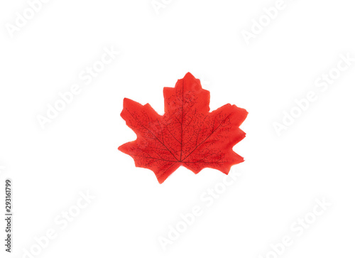 Autumn icon maple red leaves texture. Background. Flat lay, Top view leaves Nature background