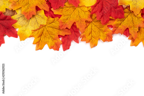 Flat lay Autumn maple leaves texture. Background made of color red and orange leaves isolate on white background. Top view, Nature background