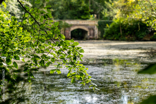 Water pond with bridge in Marlay Park.