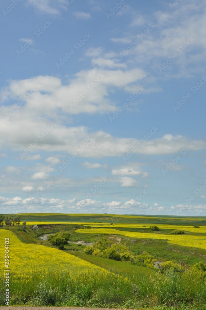 Obraz premium Winding Cannonball River