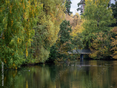 Fototapeta Naklejka Na Ścianę i Meble -  Autumn, river, bridge.