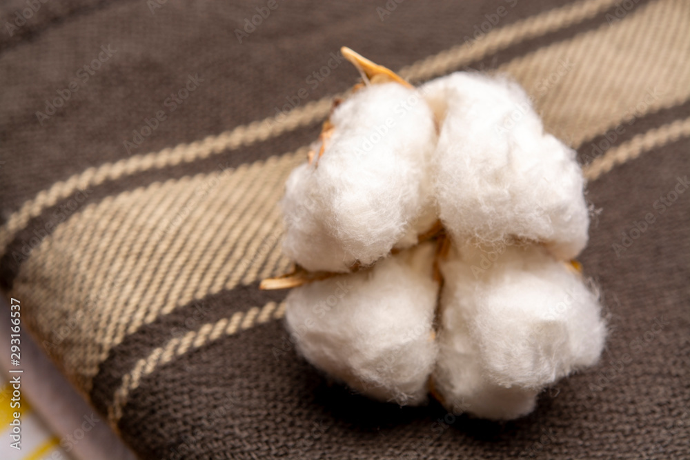 Soft natural fiber kitchen and bed textile made from organic cotton bolls