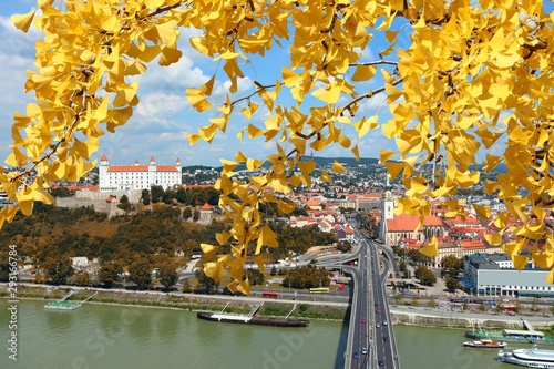 Bratislava city, Slovakia. Autumn leaves.
