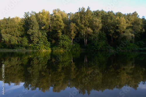 Forest shore of a lake with mirror reflection. Sunny summer day with clear blue sky and lush green