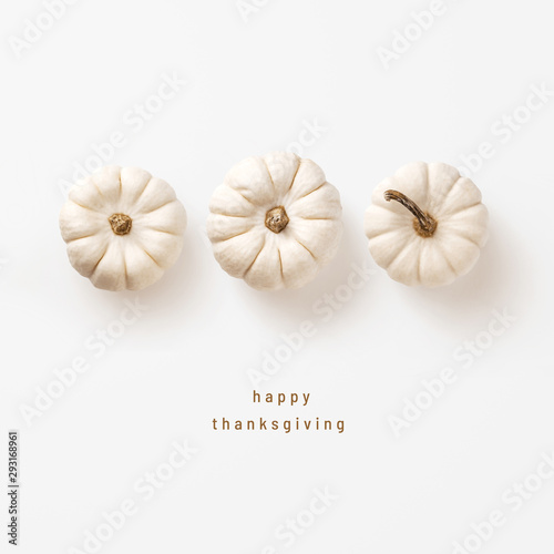 minimalist autumn / fall concept or greeting / invitation card for thanksgiving with three white pumpkins in a row - top view / flat lay  photo