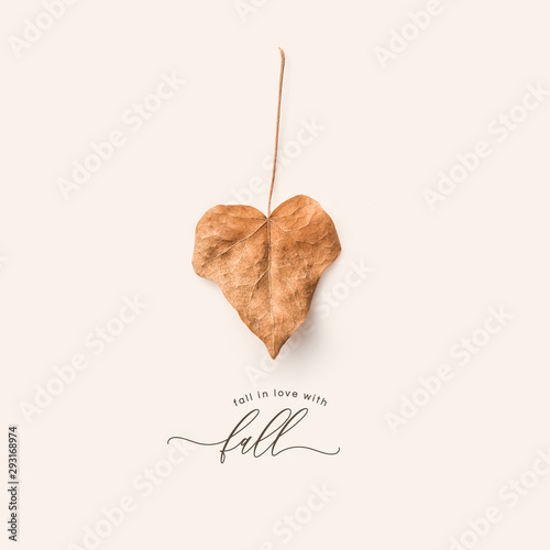 minimalist conceptual autumn / fall concept or greeting card with single heart-shaped dry leaf and calligraphic text reading fall in love with fall on a cream colored background - top view / flat lay