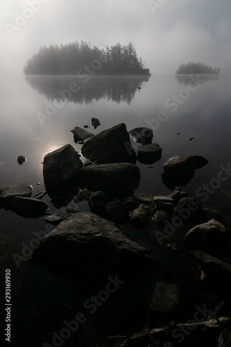 mystical fog lake scenery