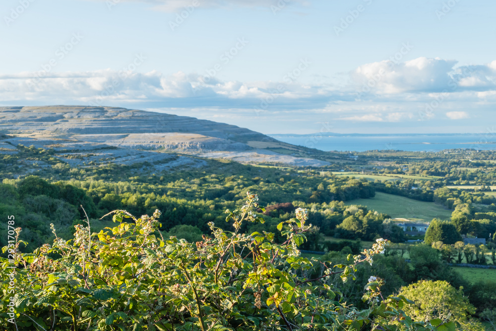 View over Burren Landscape Sicht über Landschaft 