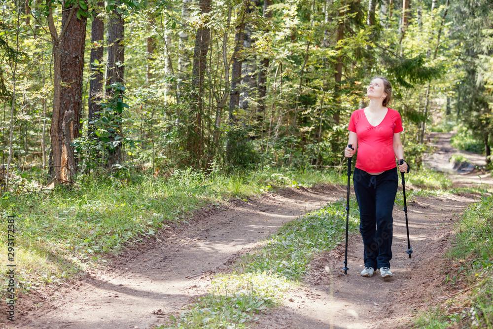 Pregnant woman walking in a summer forest using hiking poles Pregnant woman walking in a summer forest using hiking poles