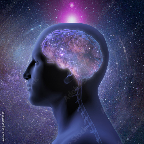 Εκτύπωση καμβά Profile of Enlightened Man with Glowing Brain and Crown Chakra on Star Field Bac