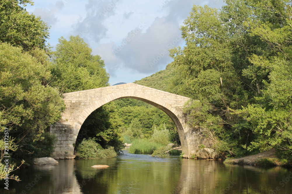 Fototapeta premium pont