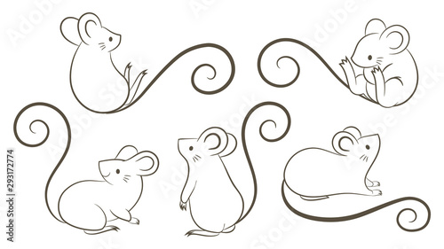 Set of hand drawn rats, mouse in different poses on white background. Vector illustration, cartoon doodle style.