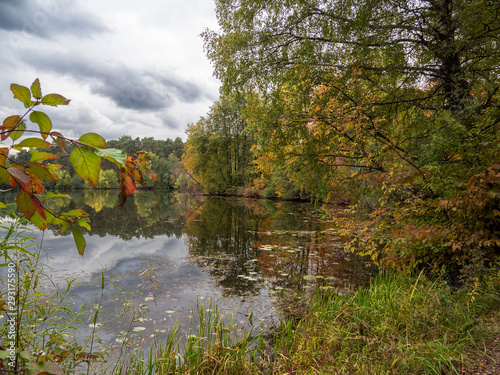 Autumn, river, trees. © Александр Шуршиков