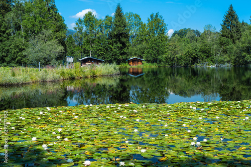 Fotografía Moorweiher bei Oberstdorf