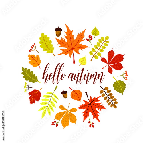 Autumn season botanical circle frame flat vector template. Leaves and branches round border with typography composition. Thanksgiving lettering. Leafage, forest berries and acorn illustration.