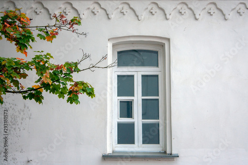 Lonely window on a white wall with colorful tree leaves in the fall. The wall is white and colored leaves of the tree. Facade of a house and tree branch on an autumn day.