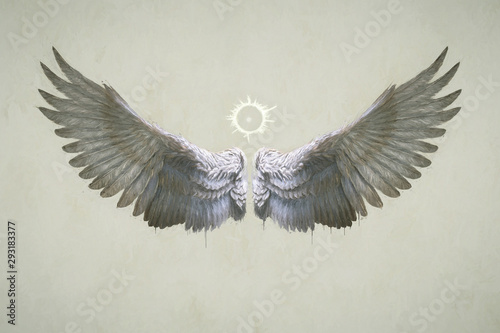 Photography Angel Wings
