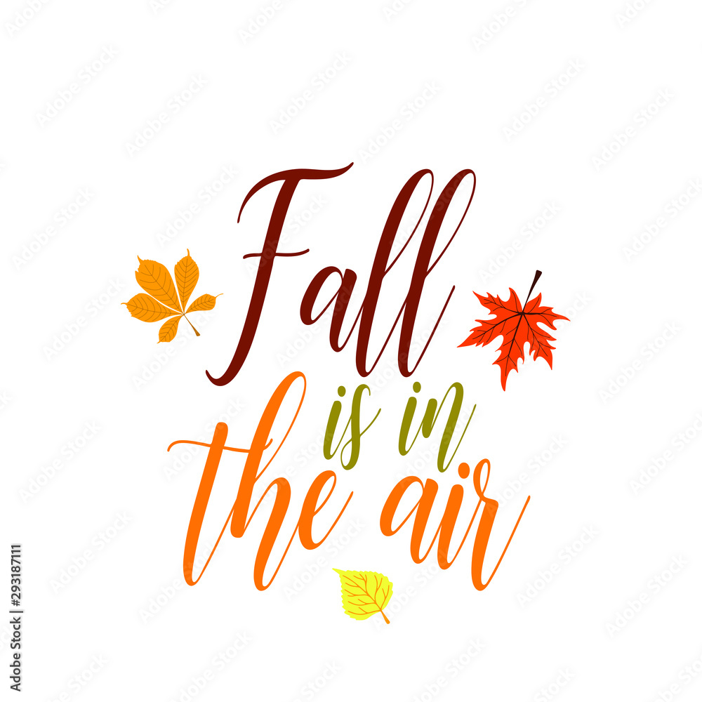 Fototapeta premium Autumn season greeting card vector template. Leaves with typography composition. Thanksgiving lettering. Leafage illustration.