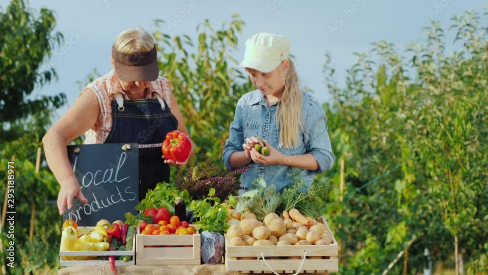 custom made wallpaper toronto digitalGrandmother and granddaughter lay vegetables on the counter of the Farmers Market