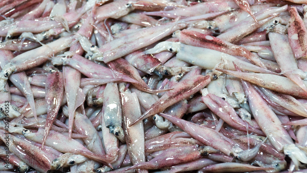 Fresh Squid on a market stall. Closeup fresh squid on the market. Fresh seafood. Fresh seafood market in Asia. Fresh Squid on a market stall. Closeup fresh squid on the market. Fresh seafood. Fresh seafood market in Asia.