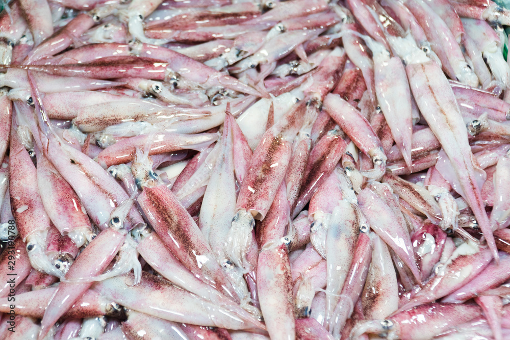 Fresh Squid on a market stall. Closeup fresh squid on the market. Fresh seafood. Fresh seafood market in Asia. Fresh Squid on a market stall. Closeup fresh squid on the market. Fresh seafood. Fresh seafood market in Asia.
