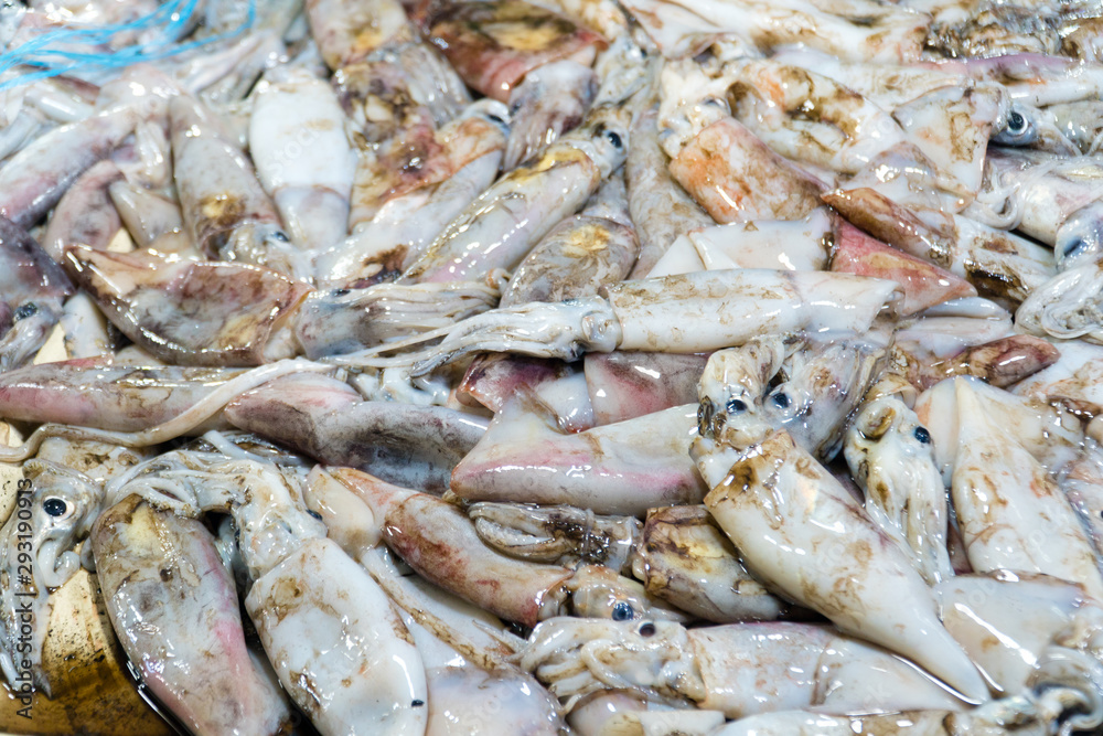 Fresh Squid on a market stall. Closeup fresh squid on the market. Fresh seafood. Fresh seafood market in Asia.