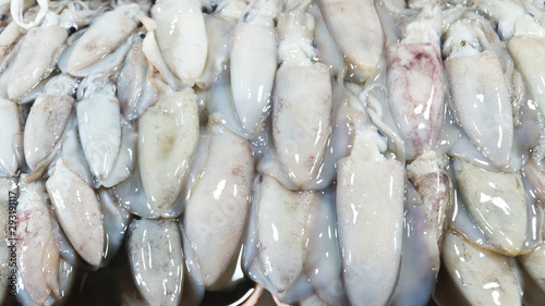 Fresh Squid on a market stall. Closeup fresh squid on the market. Fresh seafood. Fresh seafood market in Asia.
