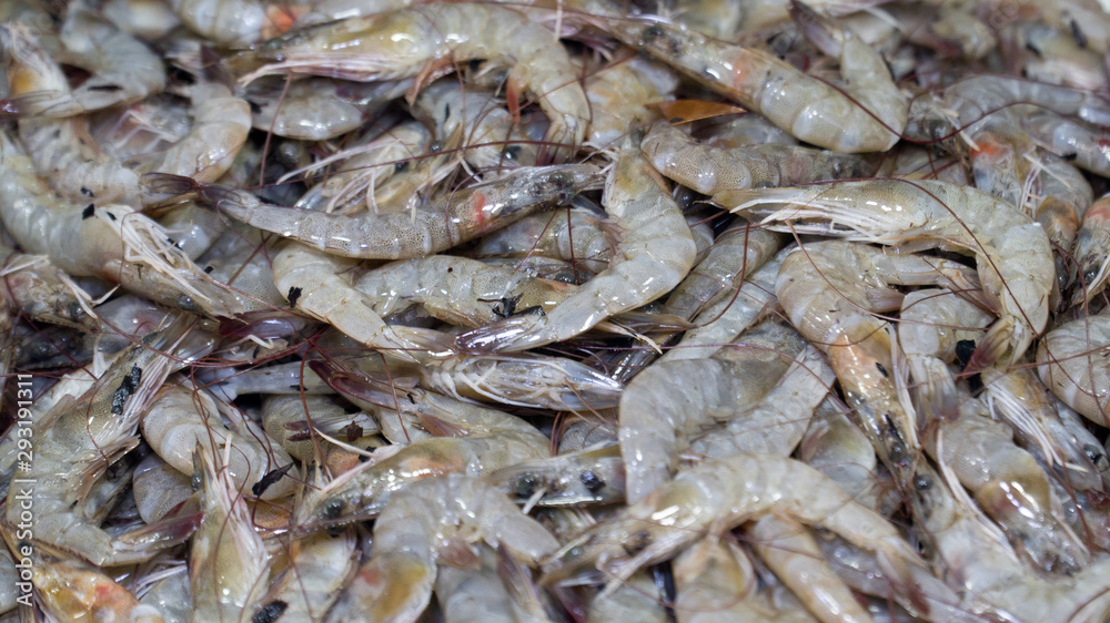 close up fresh shrimps from top view ready for sale at the market, shrimps background with copy space