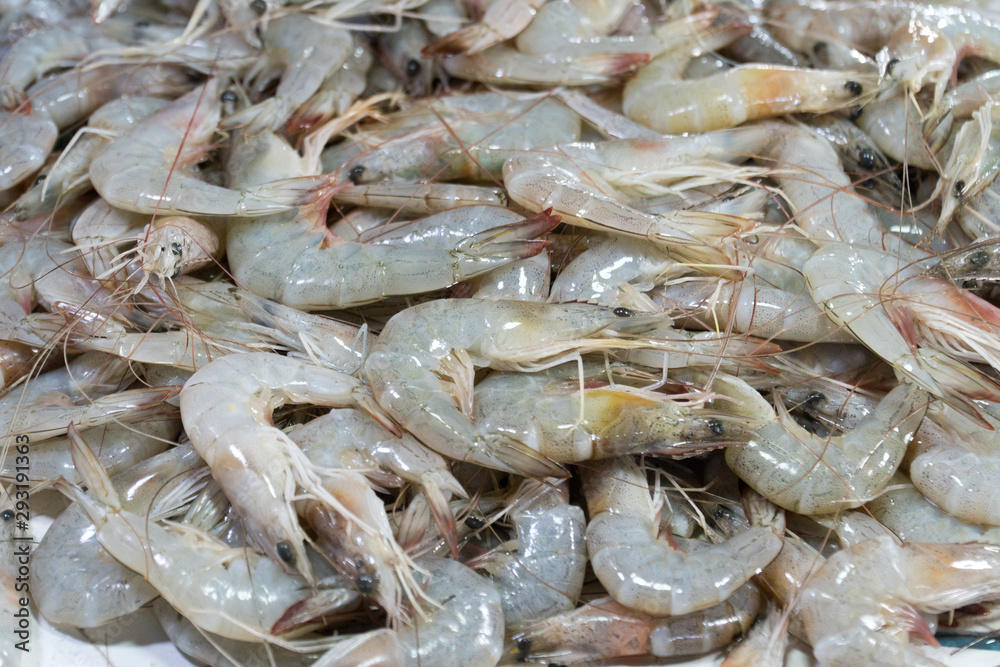 close up fresh shrimps from top view ready for sale at the market, shrimps background with copy space close up fresh shrimps from top view ready for sale at the market, shrimps background with copy space