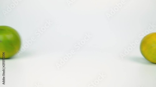 Fresh citrus roll on white background 