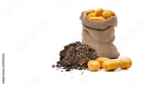 Kartoffeln in Jutesack auf Weißem Hintergrund