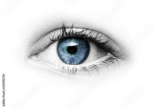 Auge mit Grüner Pupille freigestellt auf Weißem hintergrund photo
