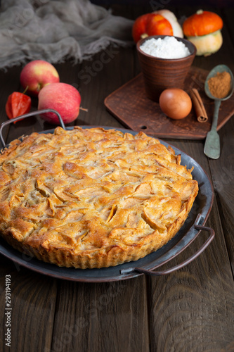 Homemade apple pie on vintage tray, apples, pumpkins and pie ingradients on wooden dark brown background.