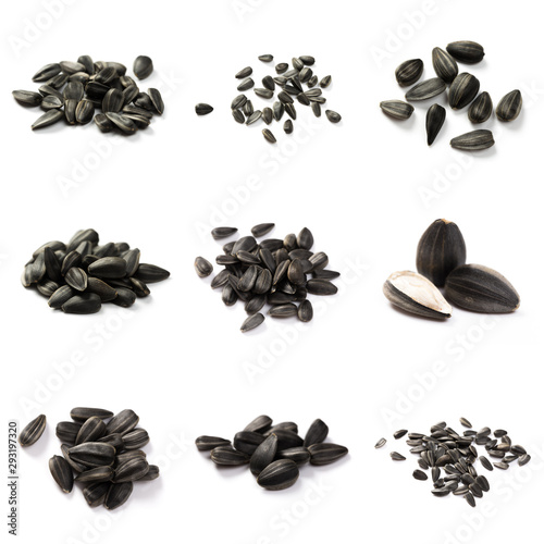 Wallpaper Mural Set of Sunflower seeds isolated on white background Torontodigital.ca