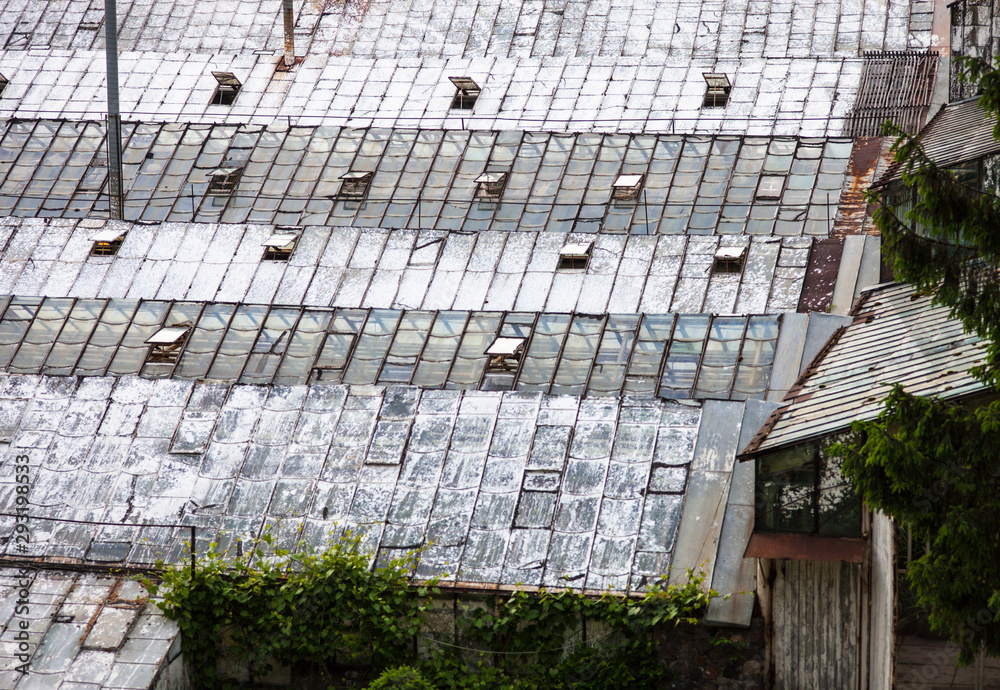Fototapeta premium Glass roofs of the old greenhouses