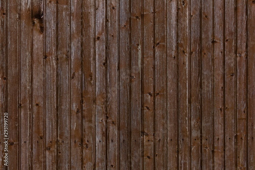 Wooden plank wall with a row of crosshead screws for background