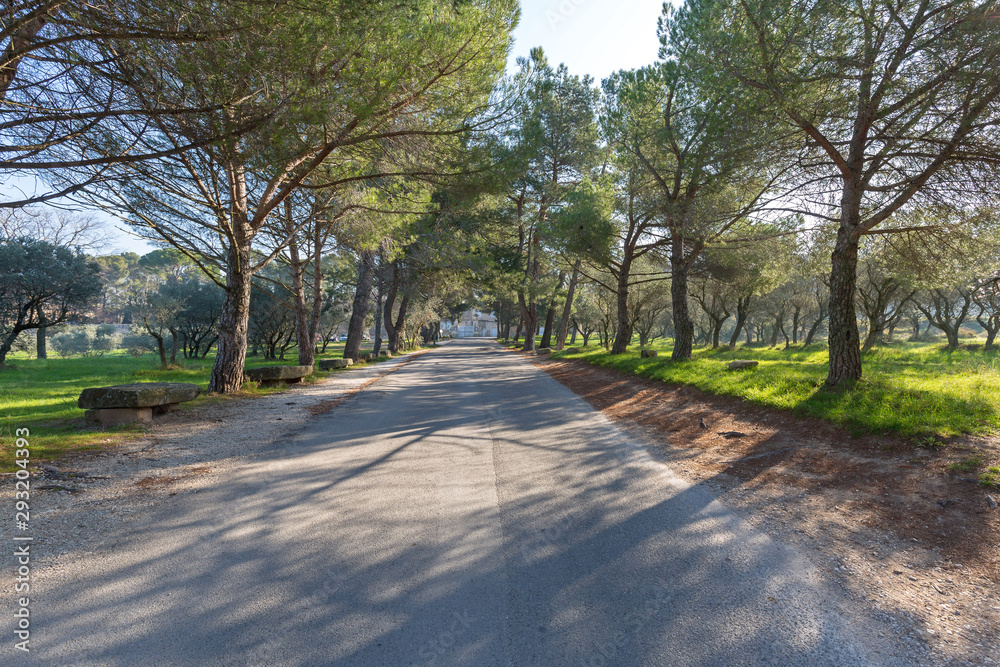 Fototapeta premium Road to Asylum