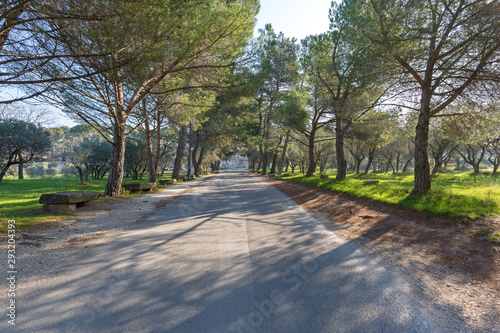 Road to Asylum photo