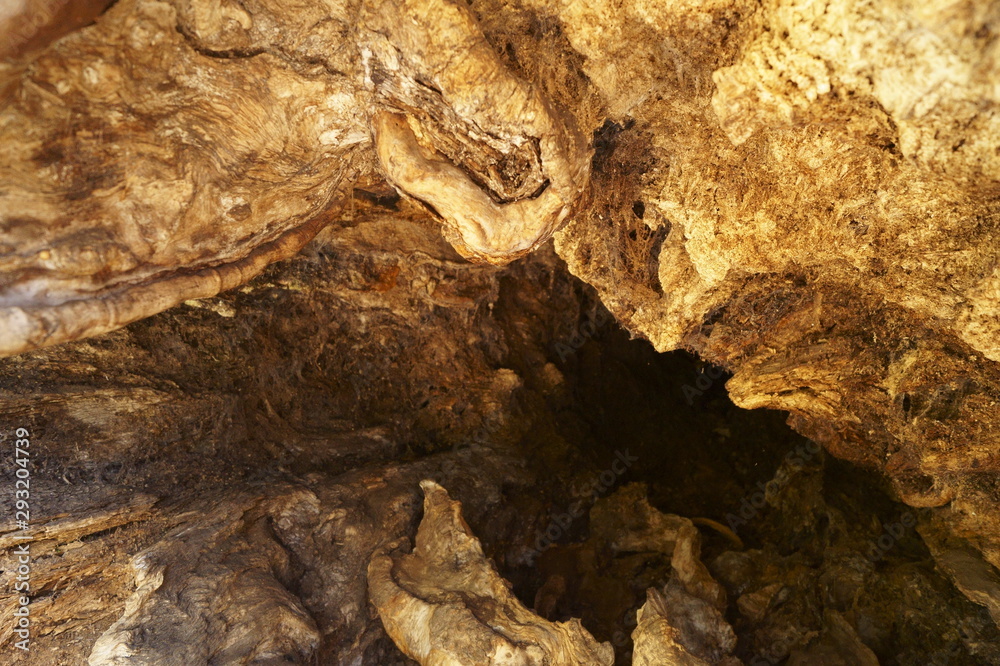 Obraz premium Uneven surface of old wood with dark cracks patterns 