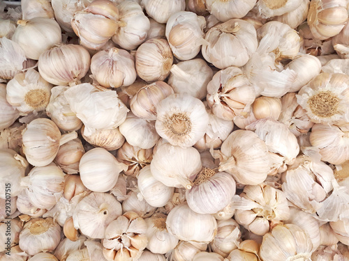 White garlic head heap top view. White garlic pile texture. Fresh garlic on market table closeup photo. Vitamin healthy food spice image. Spicy cooking ingredient picture. Pile of white garlic heads.