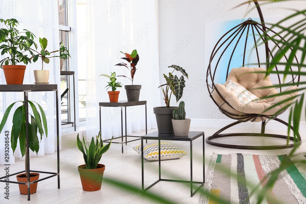 Living room interior with swing chair and indoor plants. Trendy home decor