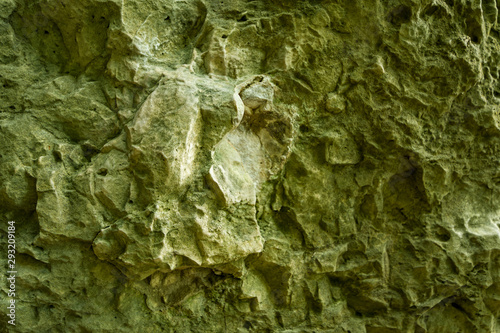 The surface of a rock