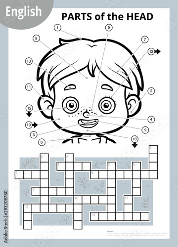 Vector crossword in English, education game for children about the human body. My head parts for a boy.