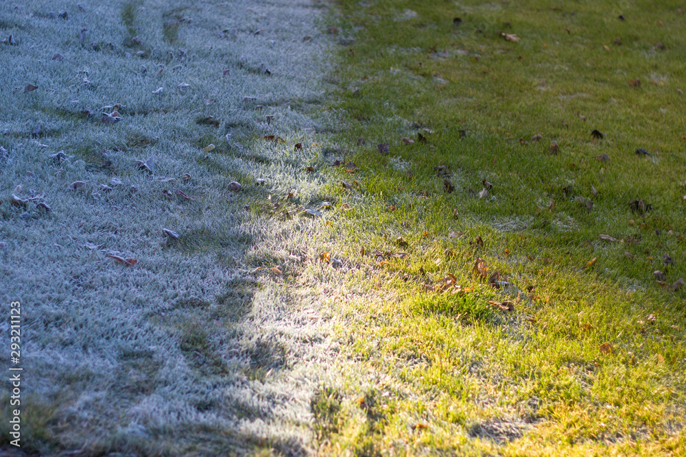 summer grass covered with sun is replaced in winter with snow summer grass covered with sun is replaced in winter with snow