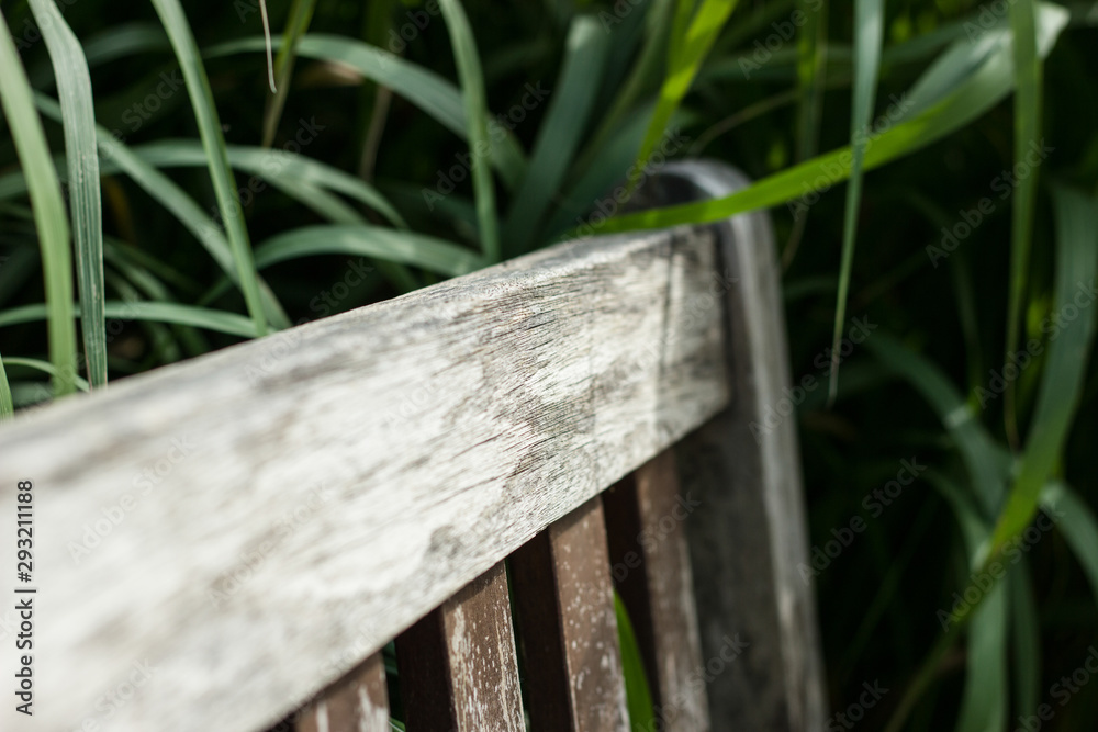 background bench in greenery closeup background bench in greenery closeup