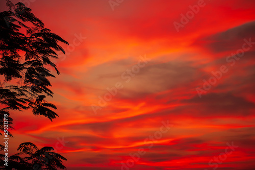Dramatic sunset sky over a tropical forest.
